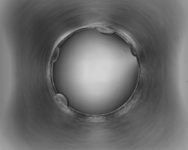 X0000113130952200909110911