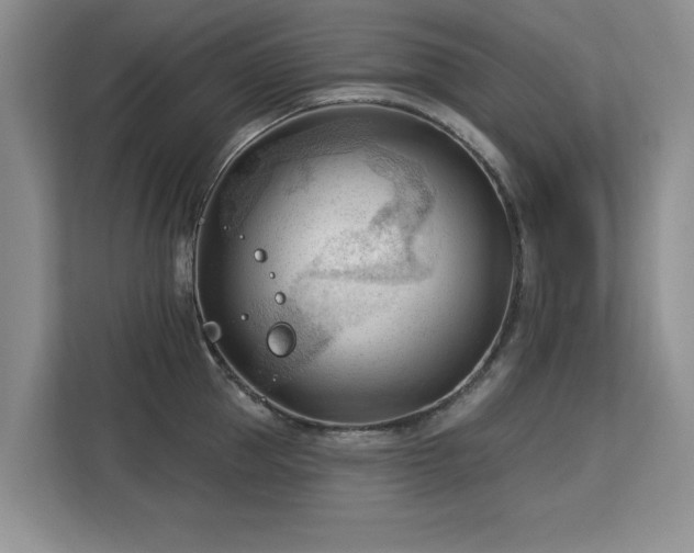 X0000113130953200909110911