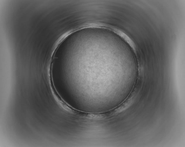 X0000113130954200909110911