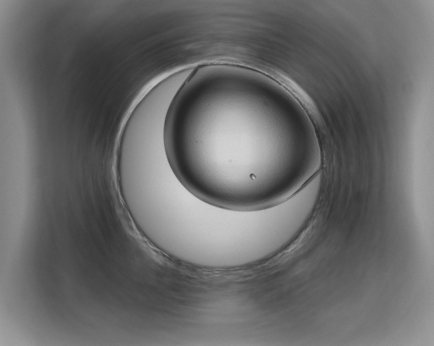 X0000113130956200909110911