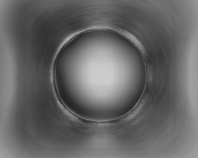 X0000113130958200909110911