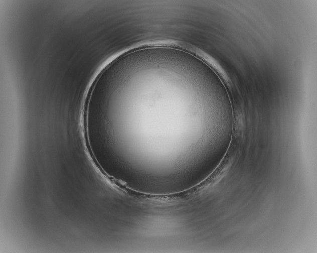 X0000113130959200909110911