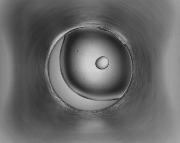 X0000113130960200909110911