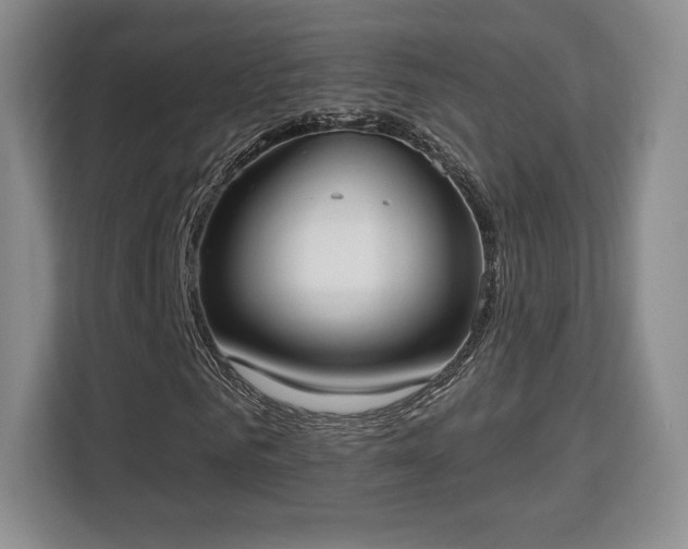 X0000113130961200909110911