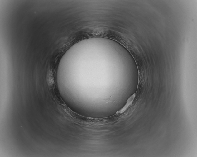 X0000113130962200909110911