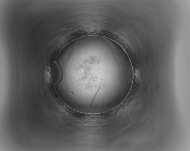 X0000113130963200909110911