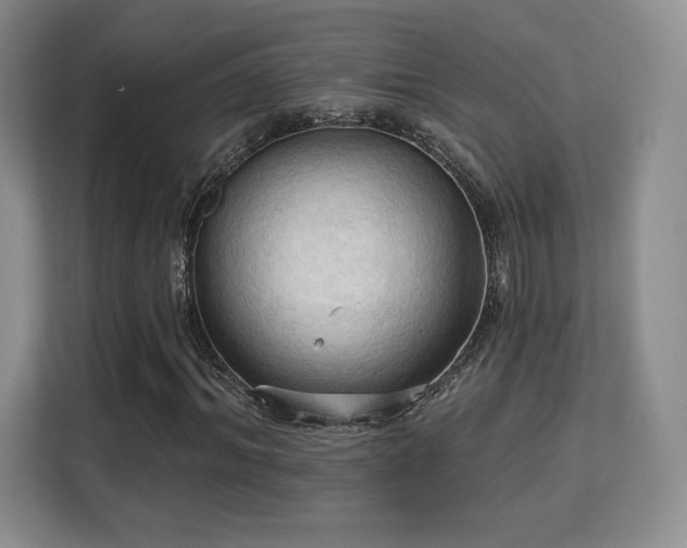 X0000113130964200909110911