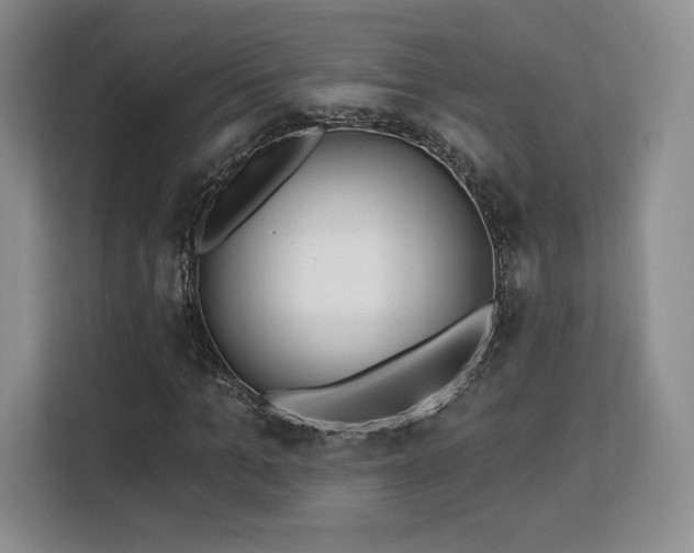 X0000113130965200909110911