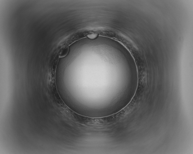 X0000113130966200909110911