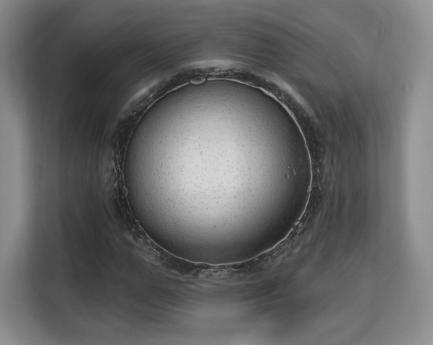 X0000113130967200909110911