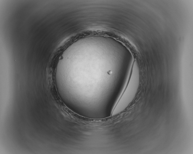 X0000113130968200909110911