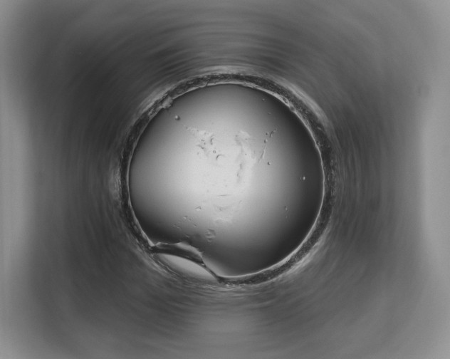 X0000113130969200909110911