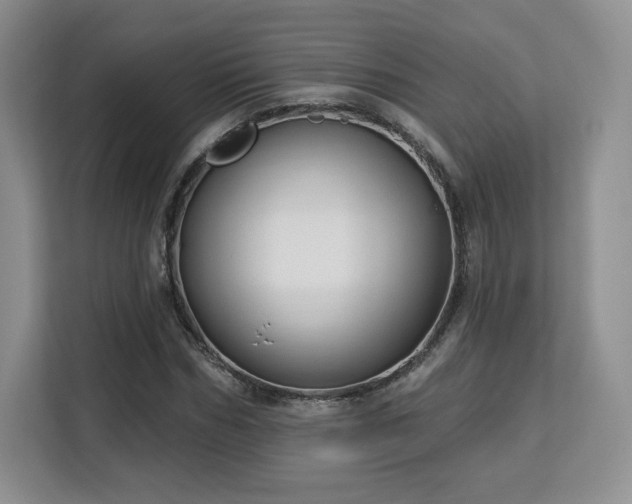 X0000113130970200909110911