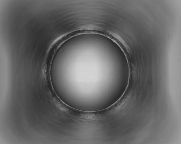 X0000113130971200909110911