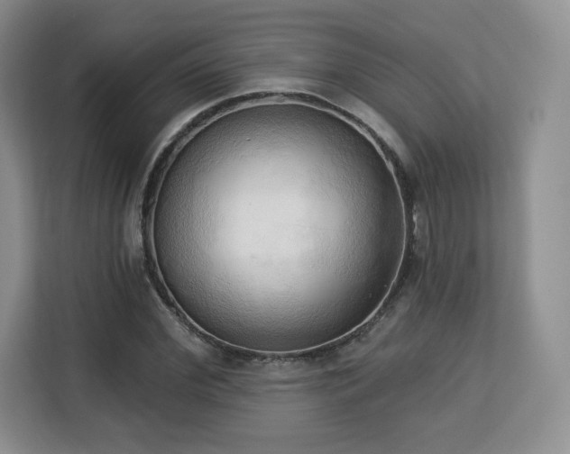 X0000113130972200909110910