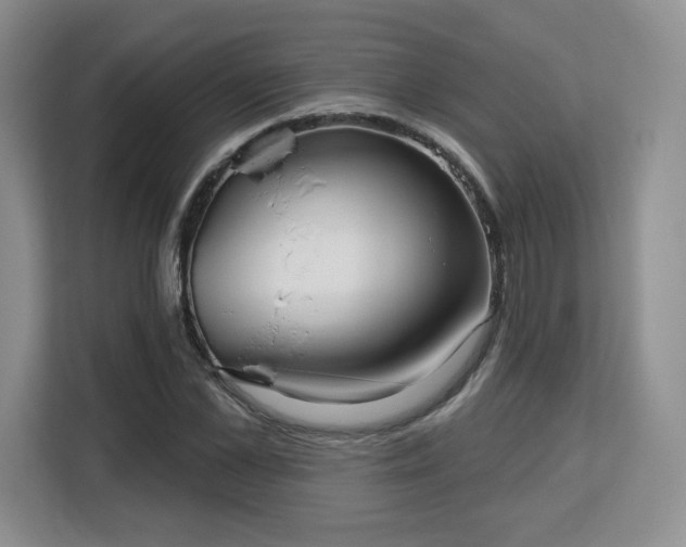 X0000113130973200909110910