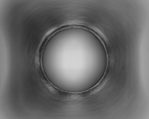 X0000113130974200909110910