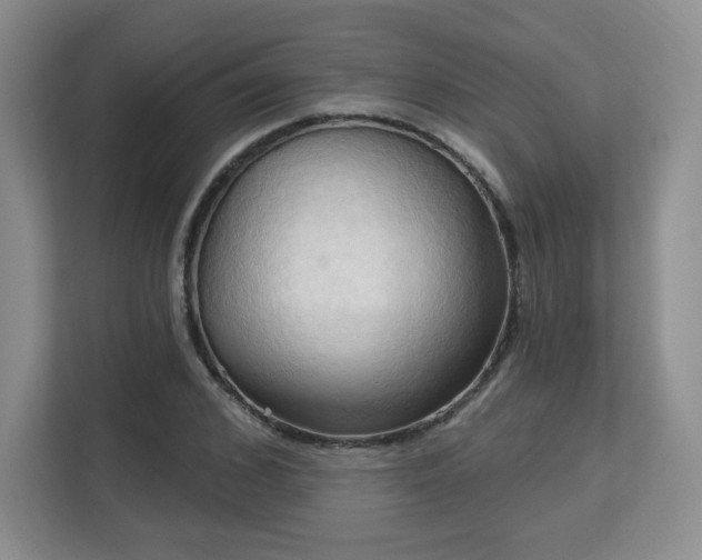 X0000113130976200909110910