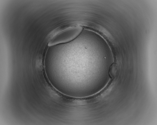 X0000113130977200909110910