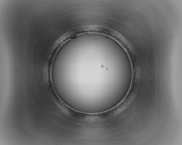 X0000113130978200909110910