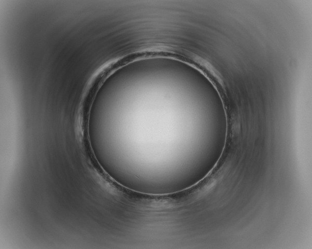 X0000113130979200909110910