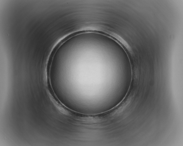 X0000113130980200909110910