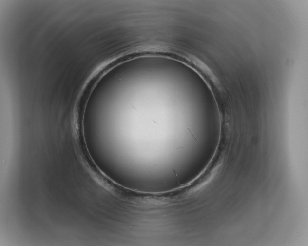 X0000113130981200909110910