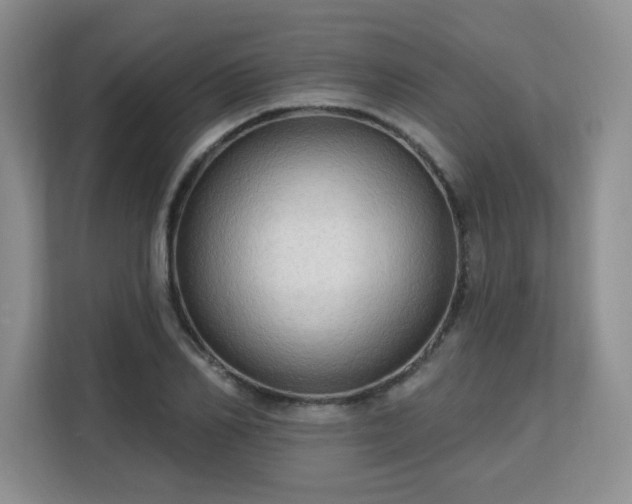 X0000113130982200909110910