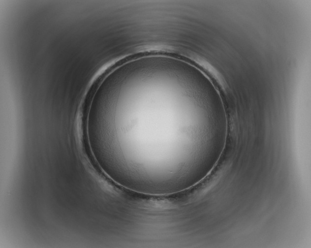 X0000113130983200909110910