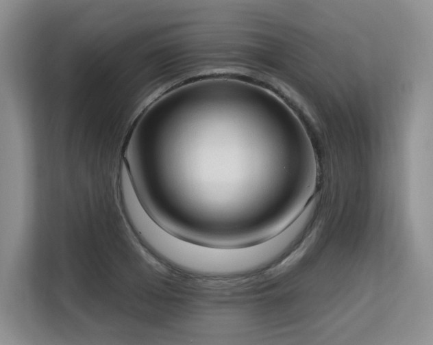 X0000113130985200909110910