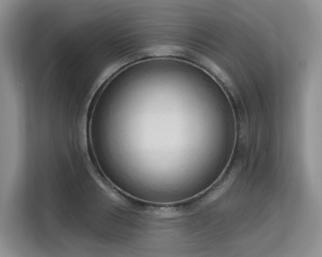 X0000113130986200909110910