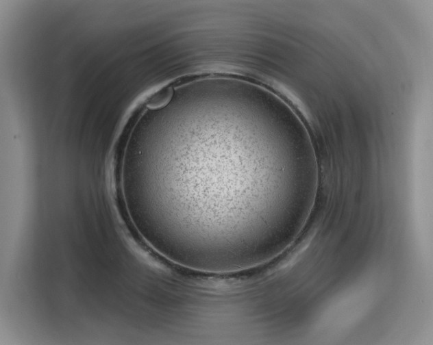 X0000113130987200909110910