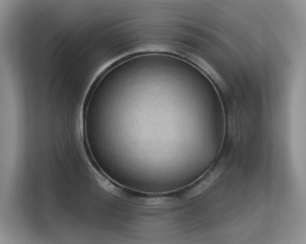 X0000113130988200909110910