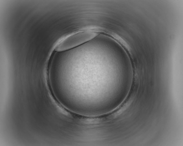 X0000113130989200909110910