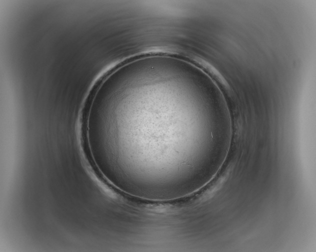 X0000113130991200909110910