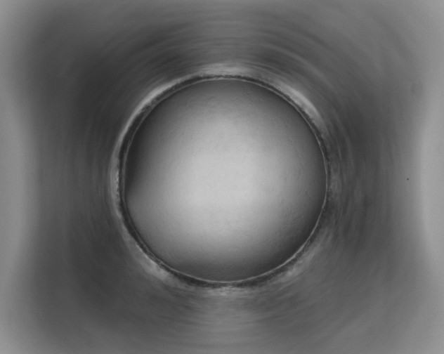 X0000113130992200909110910