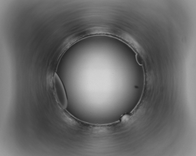 X0000113130993200909110910