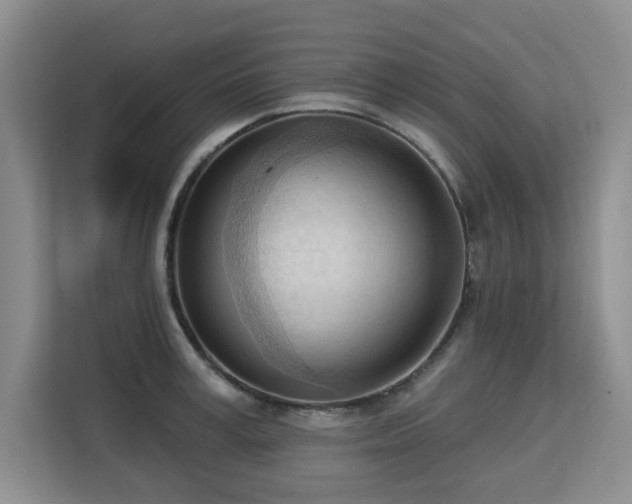 X0000113130995200909110910