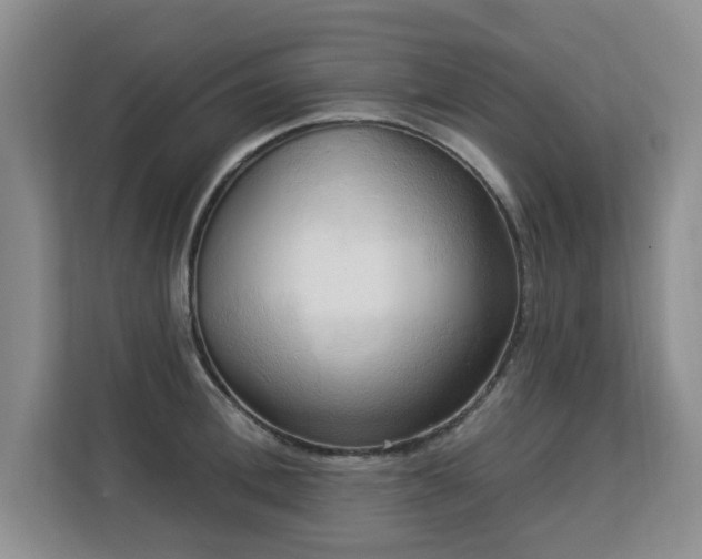 X0000113130996200909110910