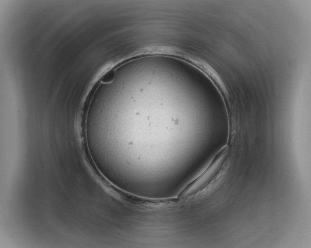 X0000113130997200909110910