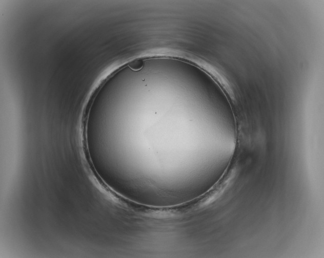 X0000113130998200909110910