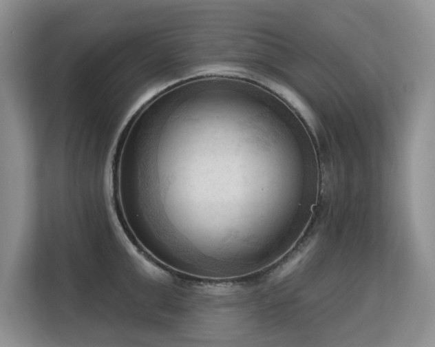 X0000113130999200909110910