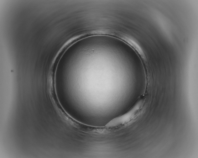 X0000113131000200909110910