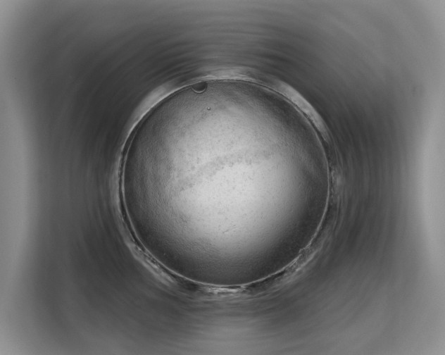 X0000113131002200909110910