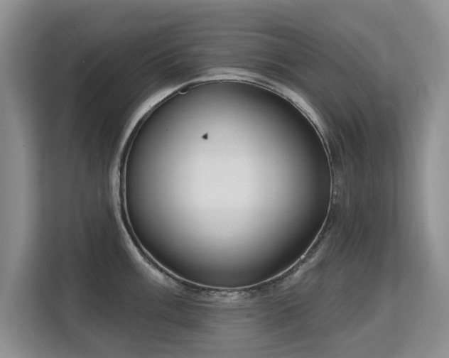 X0000113131003200909110910