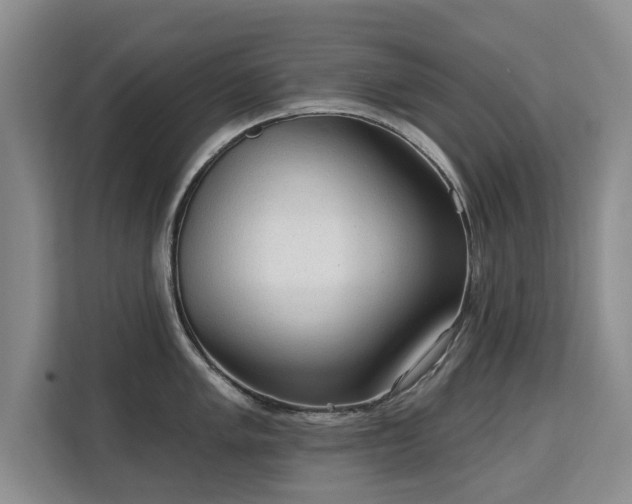 X0000113131005200909110910