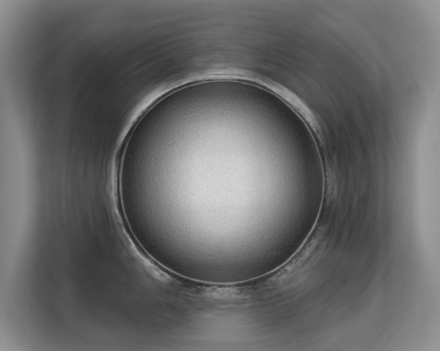 X0000113131006200909110910