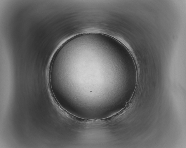 X0000113131008200909110910