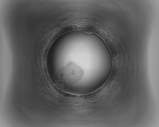 X0000113131009200909110909