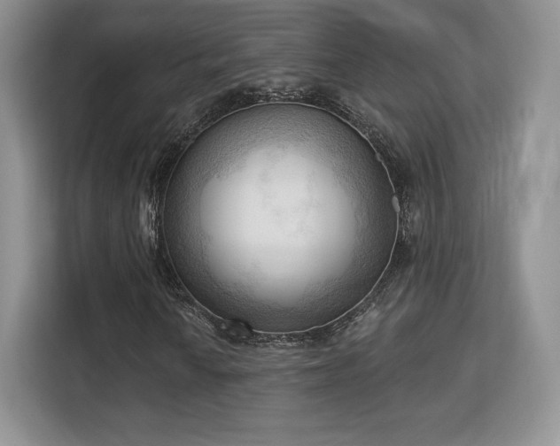 X0000113131010200909110909